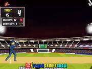 Cricket World Cup Walkthrough