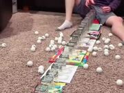 This Guy Is The Master Marksman