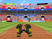 Cricket Fielder Challenge Walkthrough