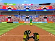 Cricket Fielder Challenge Walkthrough