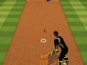Cricket Batter Challenge Walkthrough