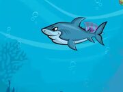 Fat Shark Walkthrough