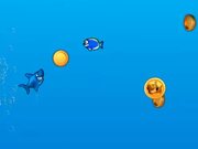 Jumpy Shark Walkthrough