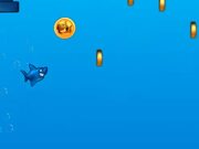 Jumpy Shark Walkthrough