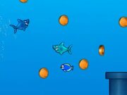 Jumpy Shark Walkthrough