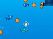 Jumpy Shark Walkthrough