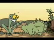 Two Frogs