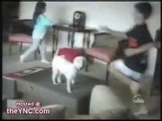 Falling Hard In Slow Motion