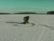 Car Crash Compilation