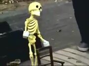 Skeleton Street Show