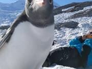 Antarctic Selfie