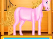 Bobby Horse Makeover Walkthrough