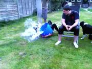 Funny Sisters Fail Compilation