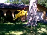 Ultimate Fails Compilation 