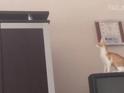 Ultimate Parkour Fails Compilation