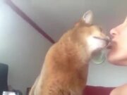 Most Heartwarming Pet Compilation