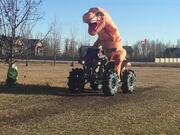 Wheeliesaurus Rex