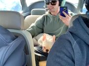 Dog Experiences Zero Gravity Flight