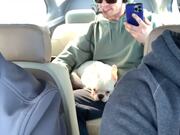 Dog Experiences Zero Gravity Flight