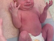 Newborn Boy