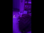 Best Cat Memes Compilation