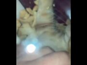 Hilarious Cat Expressions