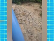 Funny & Hilarious Video