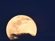 Full Moon