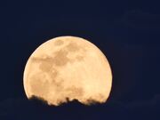 Full Moon
