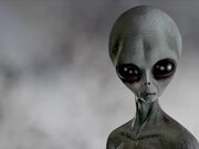 Aliens: Exploring the Unknown