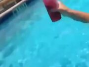 Laugh Until You Cry!