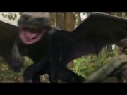 How To Train Your Dragon - Warrior