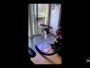 Pets Official Trailer