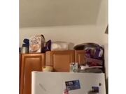 Spiderman Training Gone Wrong