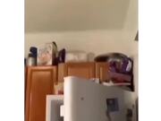 Spiderman Training Gone Wrong