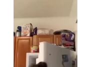 Spiderman Training Gone Wrong