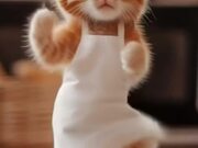 Cute Cat Dance