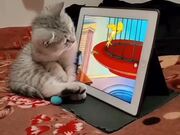 Kitten Watching Cartoon