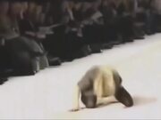 Epic Funny Gils Fails Compilation