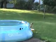 Swimming Pool Fails Compilation