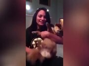 Idiots Girls Fails Compilation