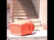 Most Funny Fail Compilation Video