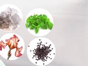 Unexplained Ancient Egyptian Tech