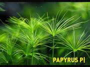 Unexplained Ancient Egyptian Tech