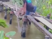 Funny Videos Compilation