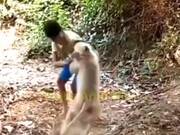 Funny Monkey Shenanigans