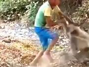 Funny Monkey Shenanigans