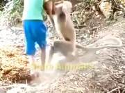 Funny Monkey Shenanigans