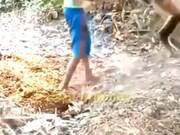 Funny Monkey Shenanigans