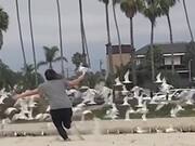 Epic Fails Compilation